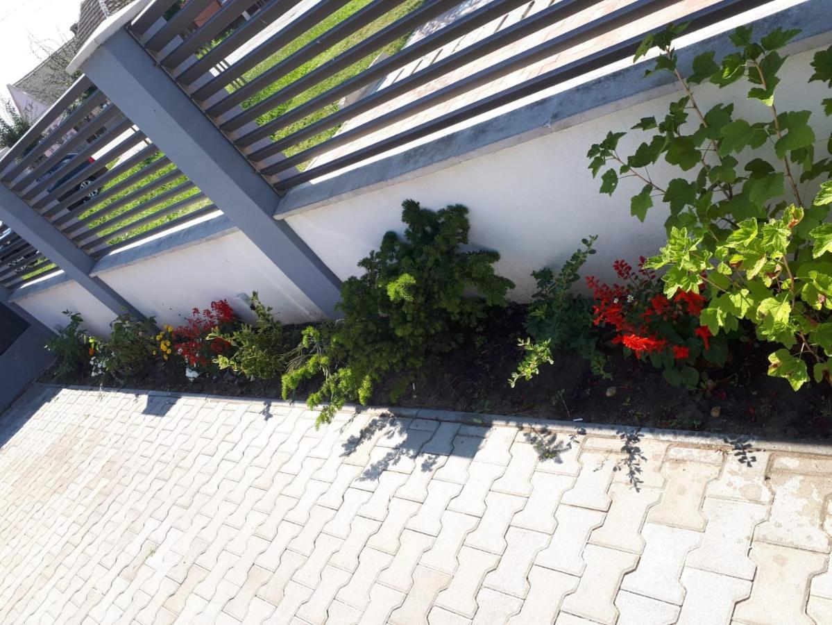 Apartament Saguna Sinnicolau Mare Exterior photo